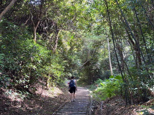 犁頭山、文山步道2835639