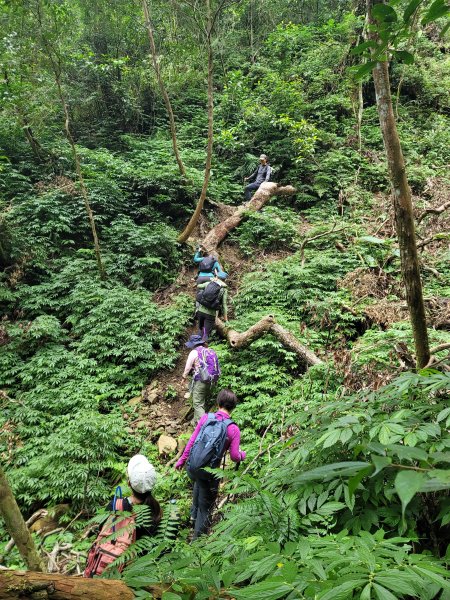 福巴越嶺國家步道2364478