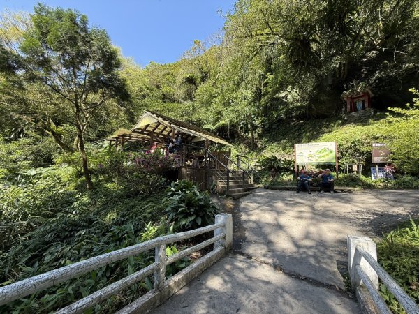 2025/03/21 聖母山莊 抹茶山 三角崙山2935088