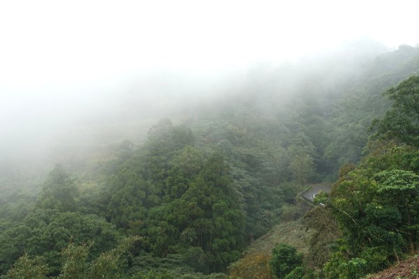 南山寺觀景台3086085