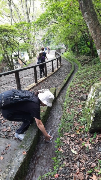 《新北》享負離子｜滿月圓國家森林遊樂區步道群O繞202408302583694