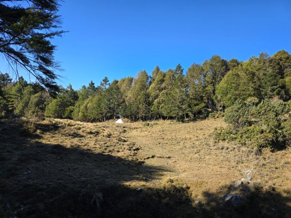 卓社大山〔武界栗栖溪登山口起登〕2748489