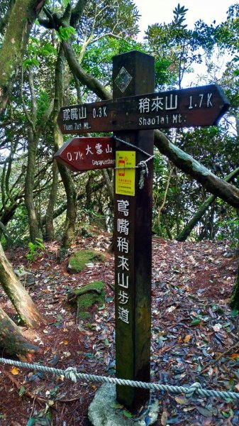 鳶嘴山 2019/05/05580963