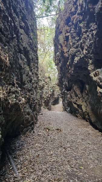 【即使簡單也要心存敬畏！】小百岳#074-大崗山、盤龍峽谷一線天O繞。3025832