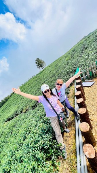 🌈17（日）雲嶺之丘+五元二角+木馬古道✨FB：熊熊趴爬走🌈2861677