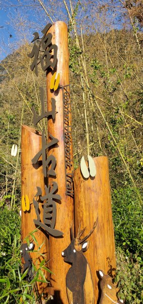 2025-01-30迷糊步道2704465