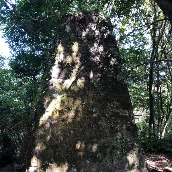 菁桐古道、耳空龜山1896700