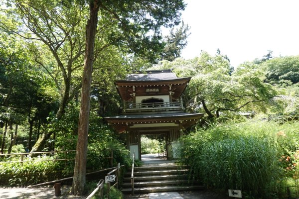 富士山御殿場線~海拔0至37762558939