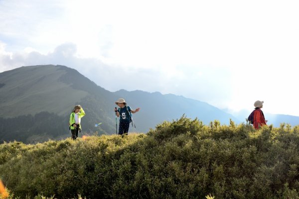 合歡東峰545397