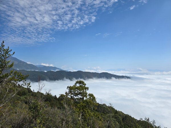 蝶夢八唐（裡冷登山口往返）八仙山出雲海下山順賞富士櫻2722714