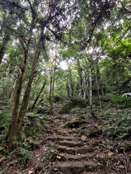 【新竹縣北埔鄉】五指山步道2833622