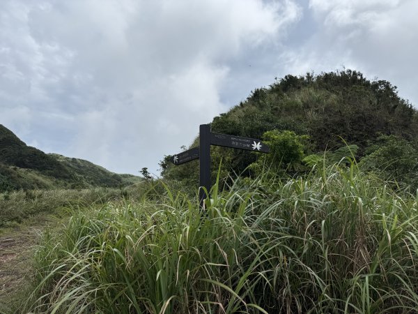 淡蘭北路第一段：瑞芳車站至慶雲宮2876388