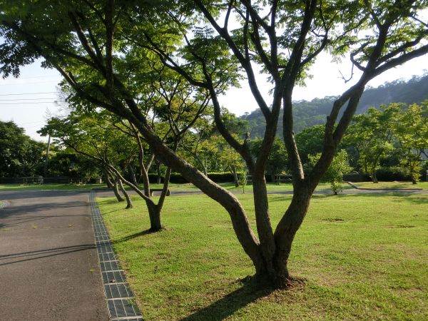 貴子坑水土保持園區．親山步道．露營場168437