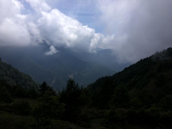 鹿林山388545