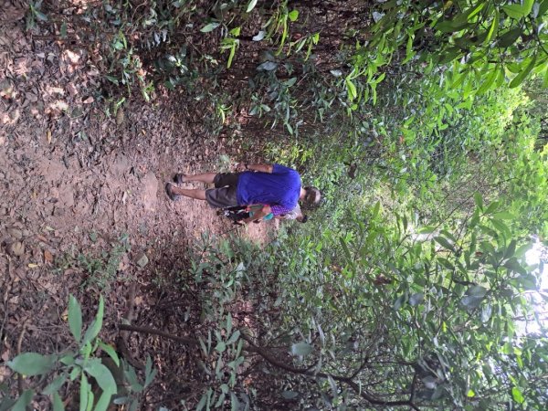 苗栗火炎山，南鞍古道O走3118403