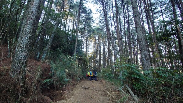 五星級松針步道的平多縱走2837831