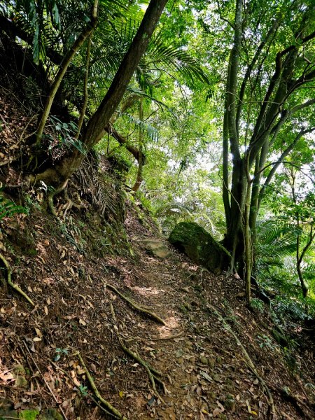 六寮古道-2025森遊竹縣皮皮獅探險隊2889086