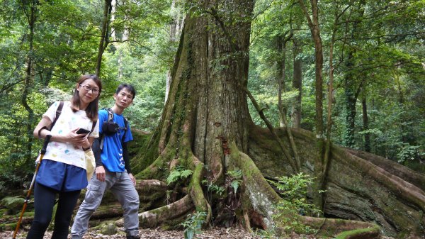 北坑山登山健行趣(中級山)1526436