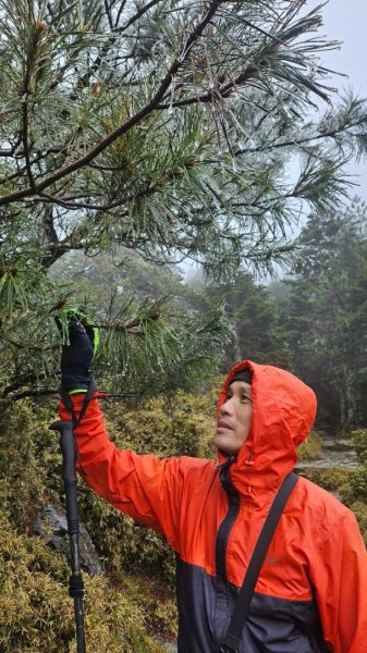 20250319～20嘉明湖國家步道🥶🥶🥶殘念😭2739740