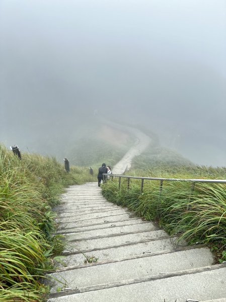 聖母登山步道～抹茶山2291905