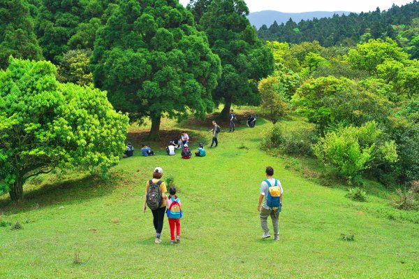 杏林山草原野餐趴2097710