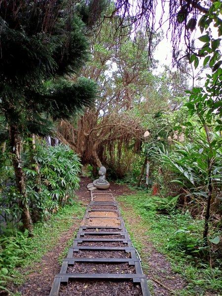 魂牽夢縈的金山獅頭山公園步道和神秘海岸1589019
