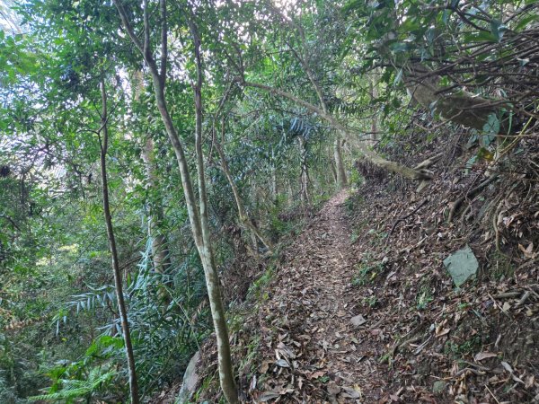 水雲三星～上島山（鳥嘴山）2931238