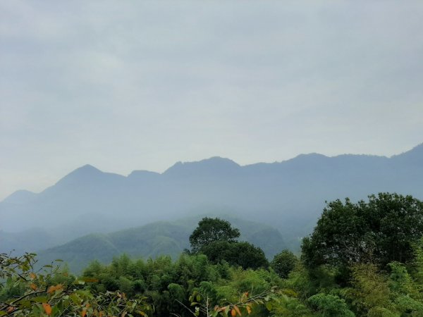 大崙頭山、貓冬望山、民眾坪山、志騰山、竹崙山五峰連走1851897