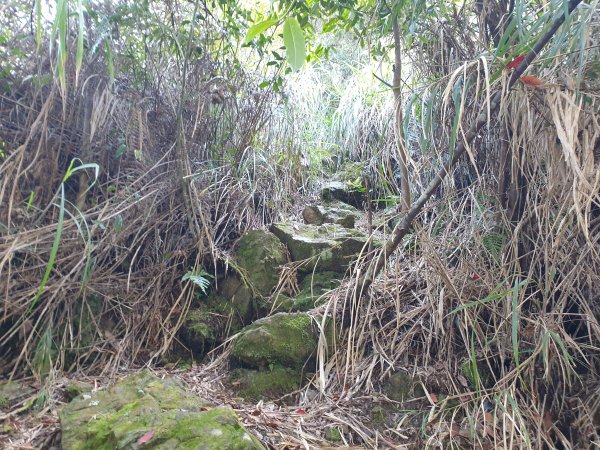 永安山、百志興保山1679617