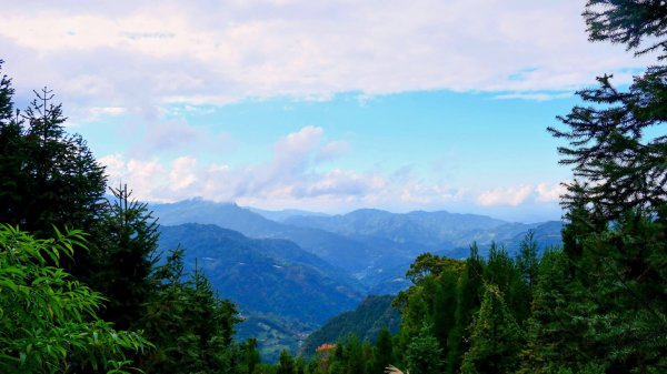 油羅山(一上三下)2959204