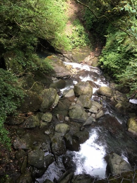 20190630_東滿步道624495