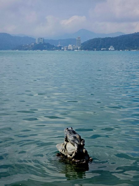 日月潭徒步環潭30公里2955807