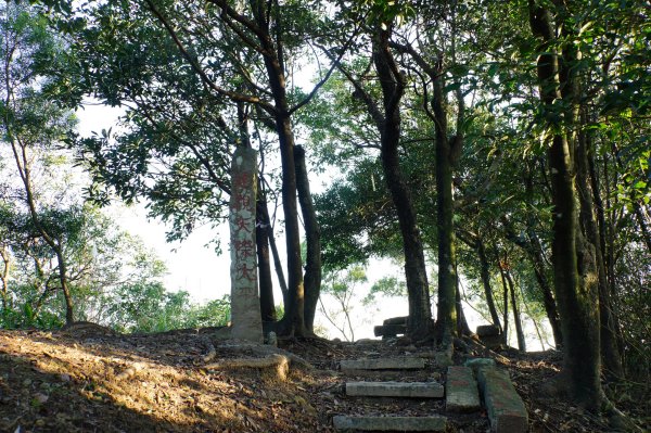 新北 貢寮 大石壁坑山、五酒桶山、龍崗山2980853