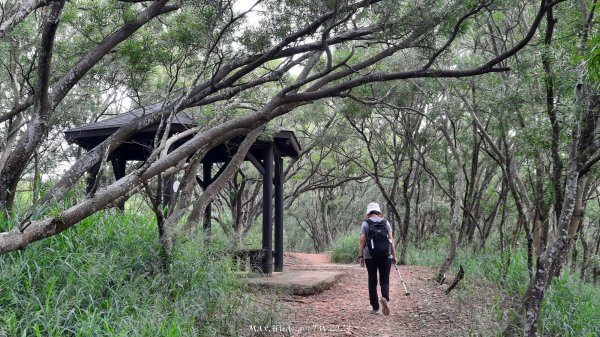 《台中》颱風前夕｜大肚環保公園登山步道(北段)202409292606723