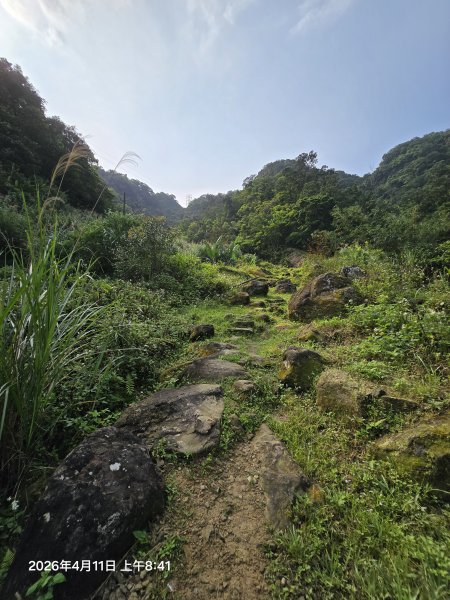2026-04-11微笑山線：【二格山系】筆架連峰段3034550