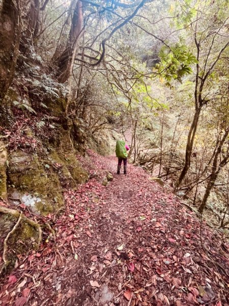 霞喀羅古道-石鹿進-白石駐在所兩天一夜2683912