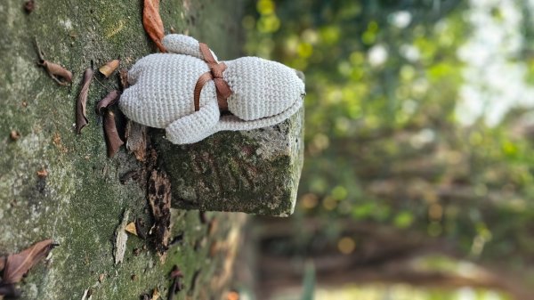 【誰是本尊？誰又是分身？】解鎖第53座小百岳#038鐵砧山2903855