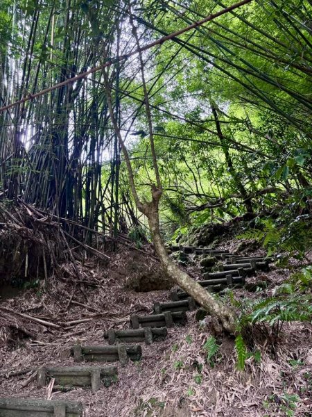 三貂嶺瀑布群步道越嶺猴硐2556616