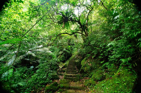 新北 平溪 孝子山、慈母峰、普陀山、中央尖、臭頭山3094905