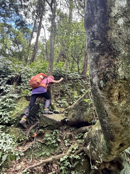 熊空瀑布+熊空山未竟+竹坑山O繞202508162863674