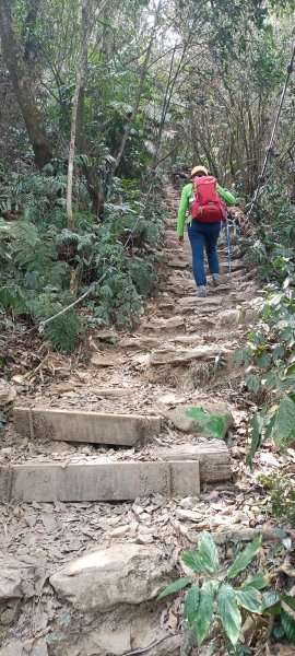 小百岳集起來·尾寮山