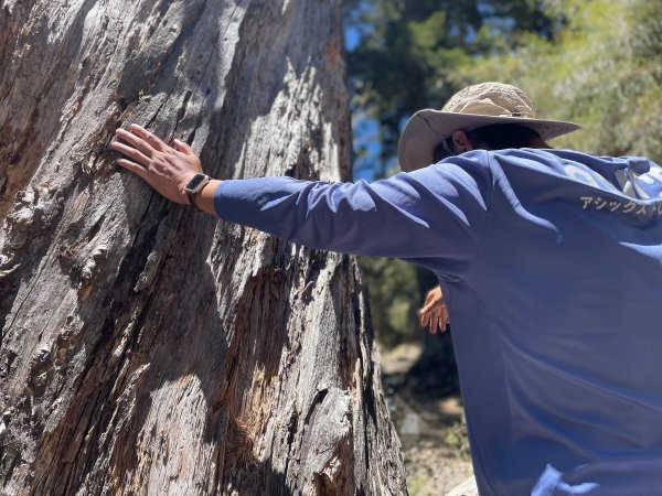 【健人HIKERS】兩天一夜玉山主峰、玉山西峰2769137