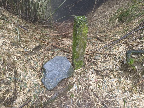 20250420南投瀧奧、奇萊尖山、合歡八連峰2768504