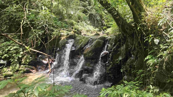 20250601梅竹蹊山-480峰-苕谷坑山2803382
