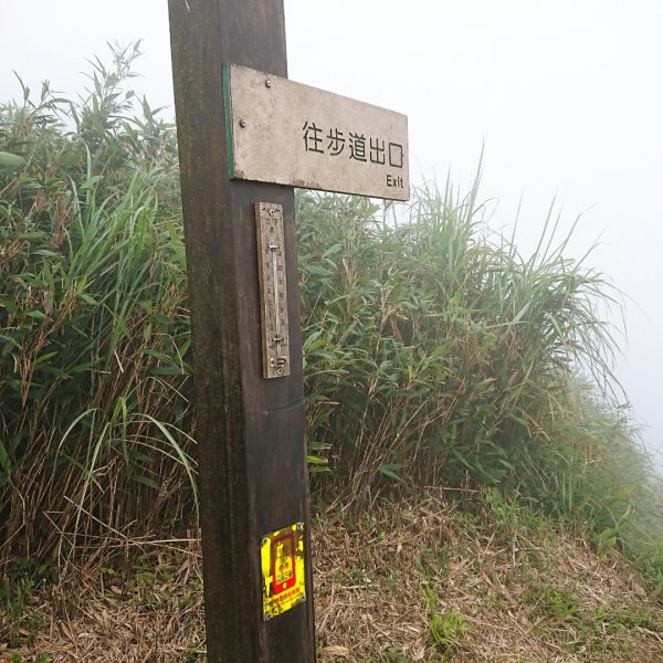 聖母登山步道561417