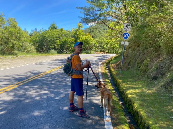 東埔山+東埔大草原步道【這裡的夏天冷颼颼】2826526