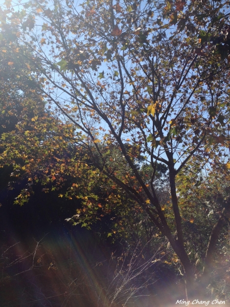 【山岳之美】~馬那邦山5718