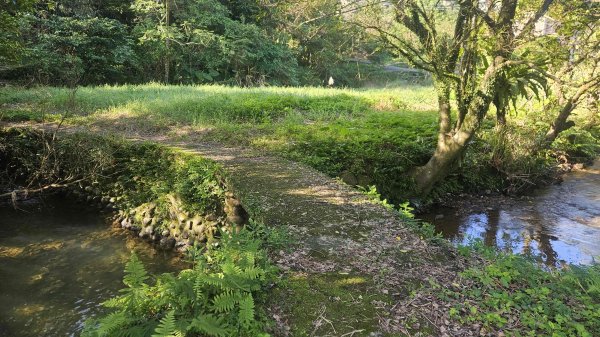 20251217麗水保甲路-麻斯廪水圳步道-大湖古道2964497