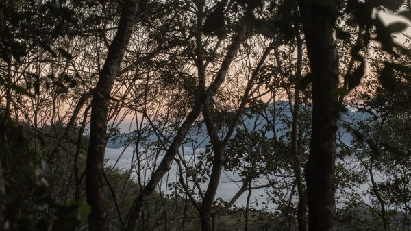 枕頭山古砲台歷史古道O型（含薑母島）2948454