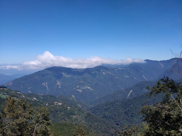 觀霧雲海山林之美